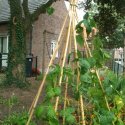 Kindercentrum 't Rovertje locatie Drakenest, Beesel - Beste-kinderdagverblijf