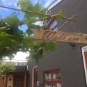 Christelijk kinderdagverblijf Trots, Boskoop - Beste-kinderdagverblijf