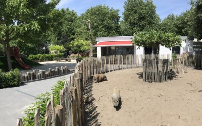 Catootje & Obelix, Wognum - Beste-kinderdagverblijf