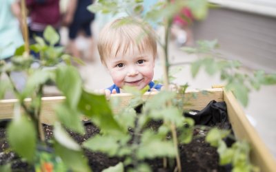 KDV Jip & Janneke, Tilburg - Beste-kinderdagverblijf