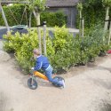 Kindercrêche Reeshof, Tilburg - Beste-kinderdagverblijf