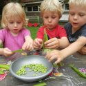 Pinkeltjesland, Noordwijk - Beste-kinderdagverblijf