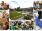 Het Hazendonkje, Molenaarsgraaf - Beste-kinderdagverblijf